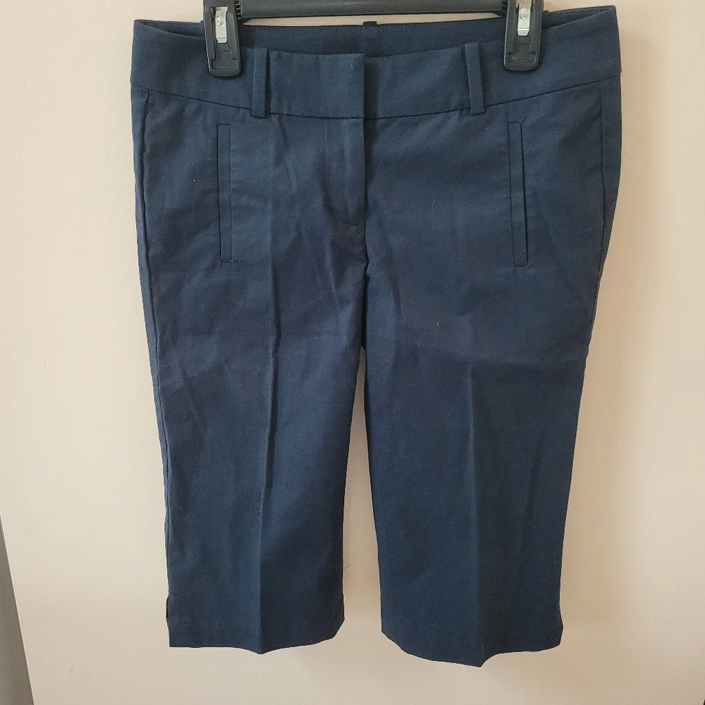 Ann Taylor Navy Blue Bermuda Shorts